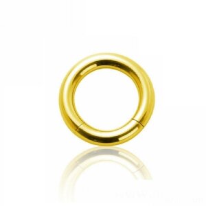 Gold Steel - Segmentring 1,2 mm - 6 mm