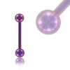 Color Titaniumium - barbell - purple  5 mm