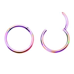 Rainbow Steel  - Segment Clicker Ring 1,6 mm 9 mm