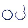 Blue Steel  - Segment Clicker Ring 1,6 mm 9 mm