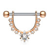 Stahl - Nipple Bar - Stern - Kristall Rosegold/CC