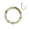 Steel - Clicker segment - 7 crystals Gold 8 mm